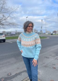 Carolina Strik Fra AJ117 Project