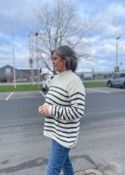 Carrie Strik Fra AJ117 Project